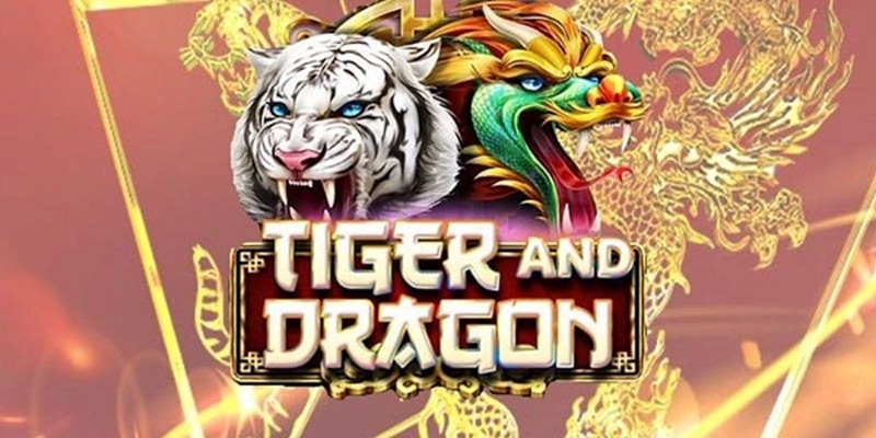 TG88 - Hướng dẫn cách chơi rồng hổ
