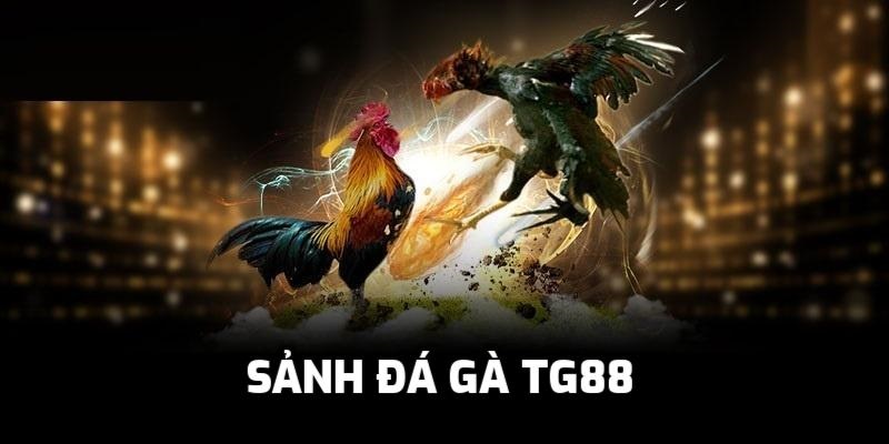 Móc túi bí kíp từ sư kê đẳng cấp hàng đầu